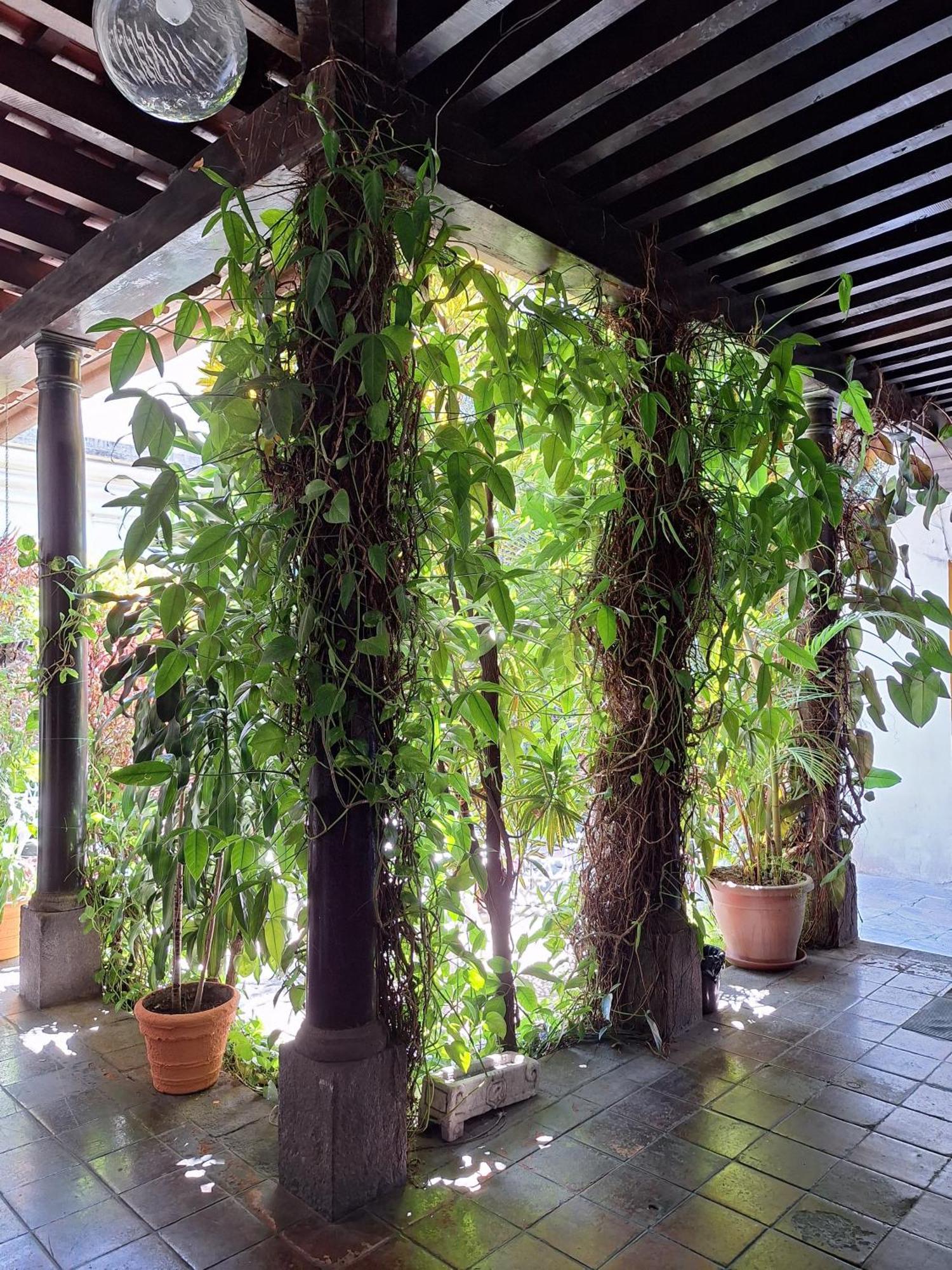 Hotel Spring Guatemala City Exterior photo